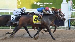 2026 Curlin Florida Derby, Gulfstream Park, Commandment, The Puma